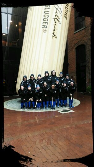 LchsSoftball's profile picture. 