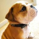 Jackie Pham - @jackquelinepham - Twitter