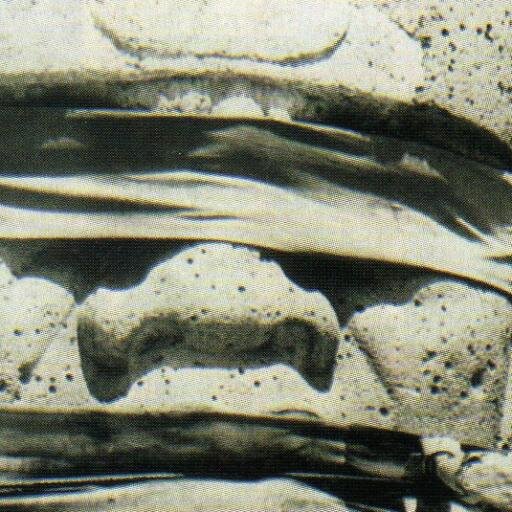 ArturoLector's profile picture. Me gusta el conocimiento y leer todo tipo de libros, me interesaría influir en el cambio de consciencia universal. Felizmente casado y disfrutando de la vida.