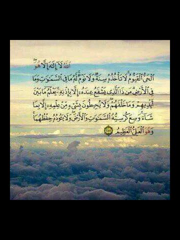 Loodh266266's profile picture. 