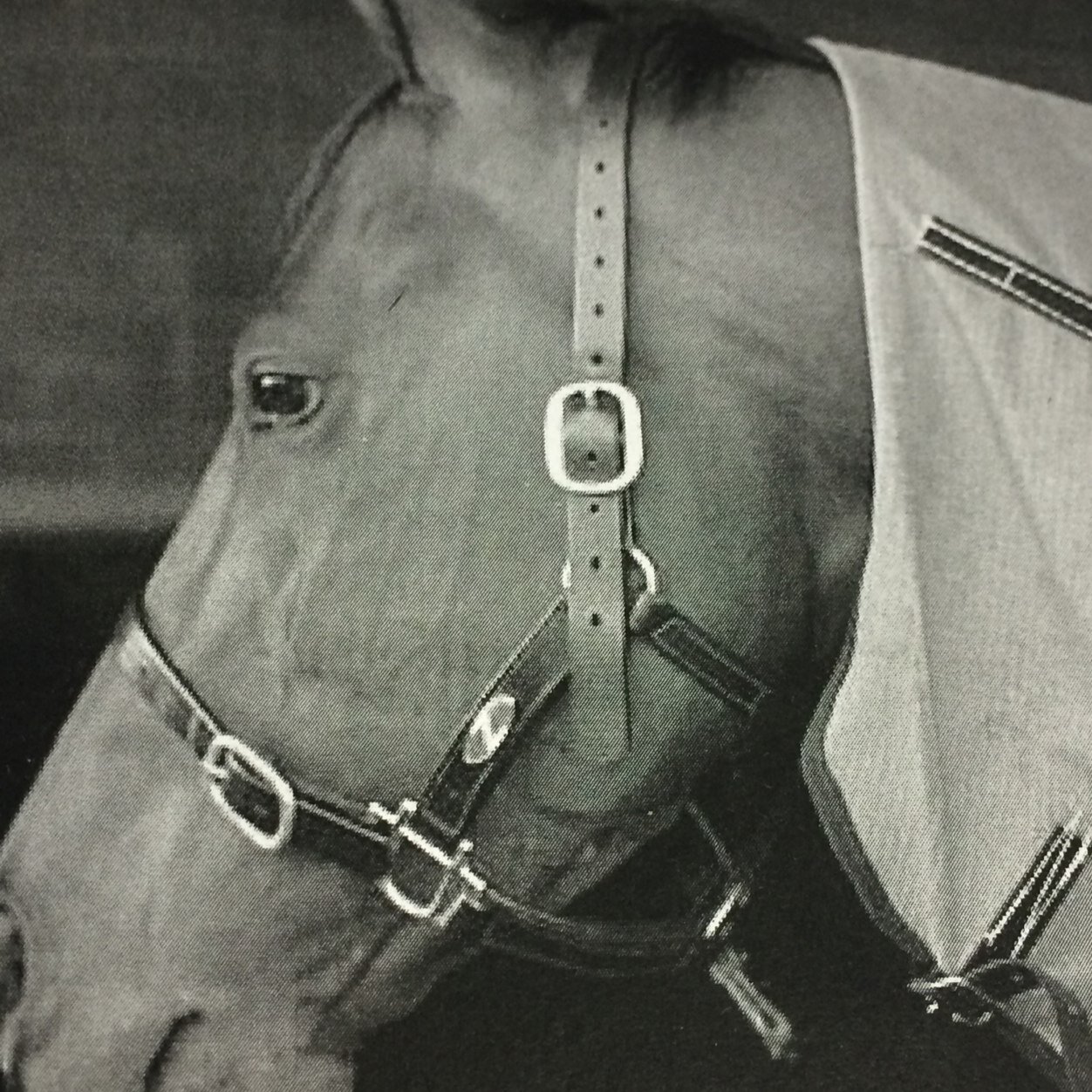 hughev3's profile picture. husband ,dad to Edward and Barnaby, lover of all things sport and markets