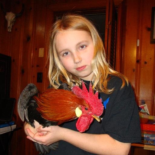 ClarksonFarm's profile picture. Natural is the way we grow!