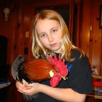 Clarkson Farm (@clarksonfarm) 's Twitter Profile