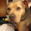 Vicki Ferrell - @FerrellVicki - Twitter