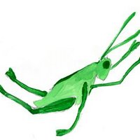 artcricketLA (@artcricketla) 's Twitter Profile Photo