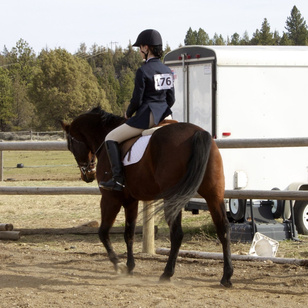 Why just choose one? Equestrian/Cowgirl for life ❤️
I love my Quarter Horse ❤️