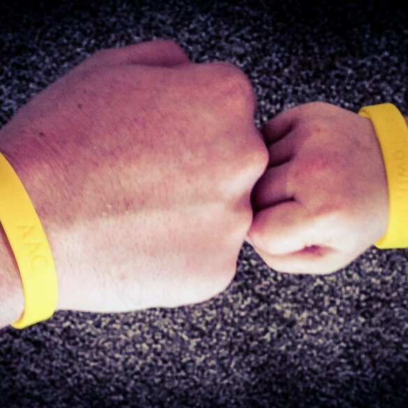 TheFightAAC's profile picture. Welcome to Almont Against Cancer, the student led childhood cancer awareness organization in your own backyard! #AAC