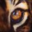 dontwanna81's profile image