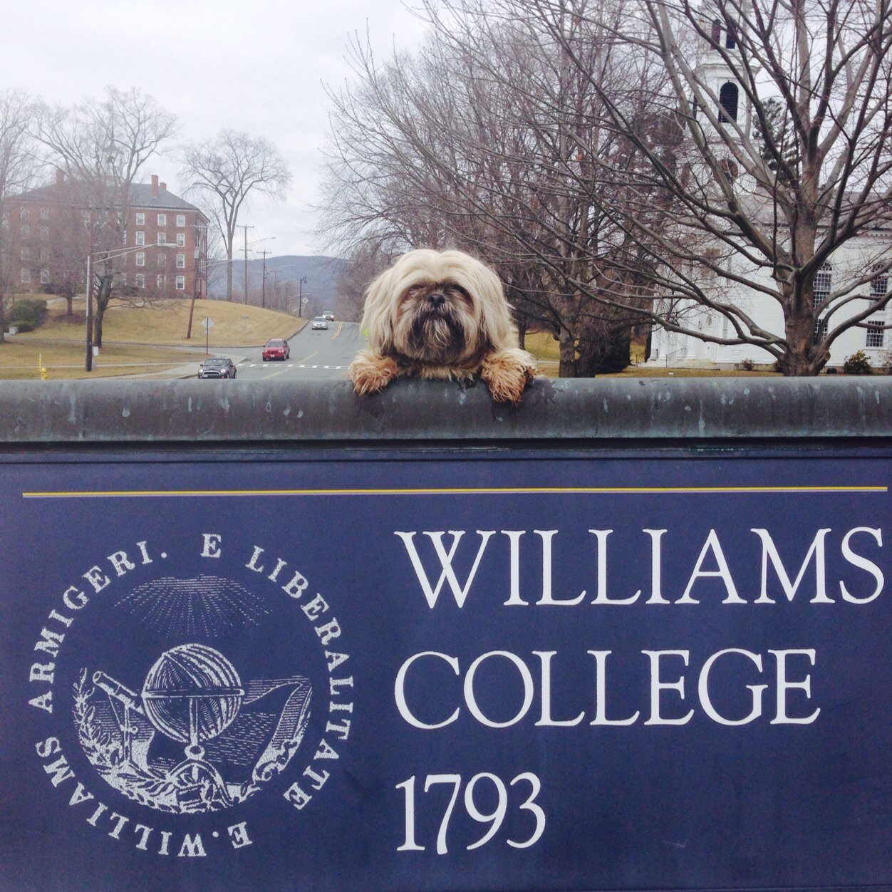 MarkusHasri's profile picture. 