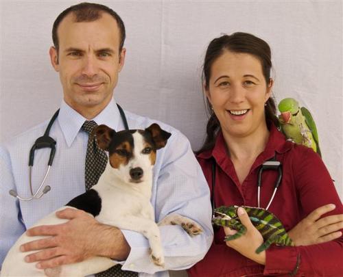 dewintonvet's profile picture. Our motto is healthy pets, happy people. We are your resource for your #dog, #cat, or #exotic pet help, advice, and care. Located just outside #Calgary.