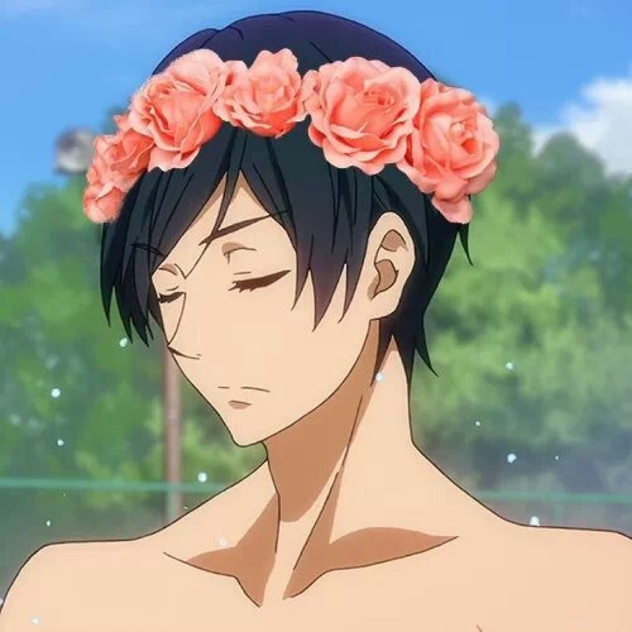 ✿Dolphin Dick Haru✿