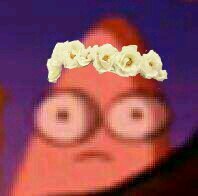 PineappleOfSass's profile picture. In this world, we will endure. Retweet and Favorite! || #Ifollowback || #tumblr #weheartit