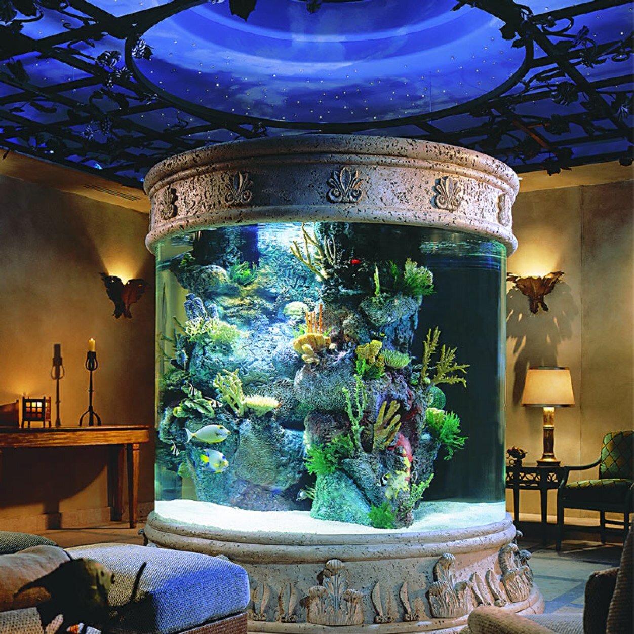 Pictures of aquariums you dont see everyday