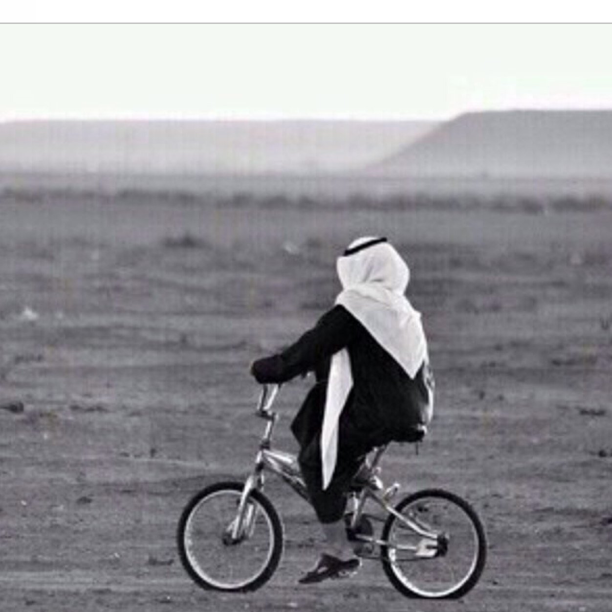 ﴿إِنَّ اللَّهَ بِالنّاسِ لَرَءوفٌ رَحيمٌ﴾