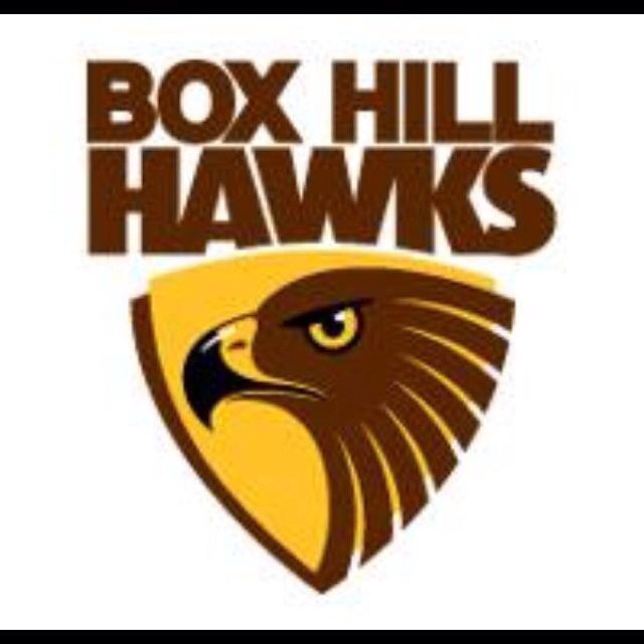 Box Hill Hawks Appreciation Page Created in 2014 - News & Updates Retweeted & Posted. Appreciating the BHH & the Allignment with HFC! #STANGERS