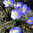 LeAnn Lehman - @LeAnnLehman - Twitter