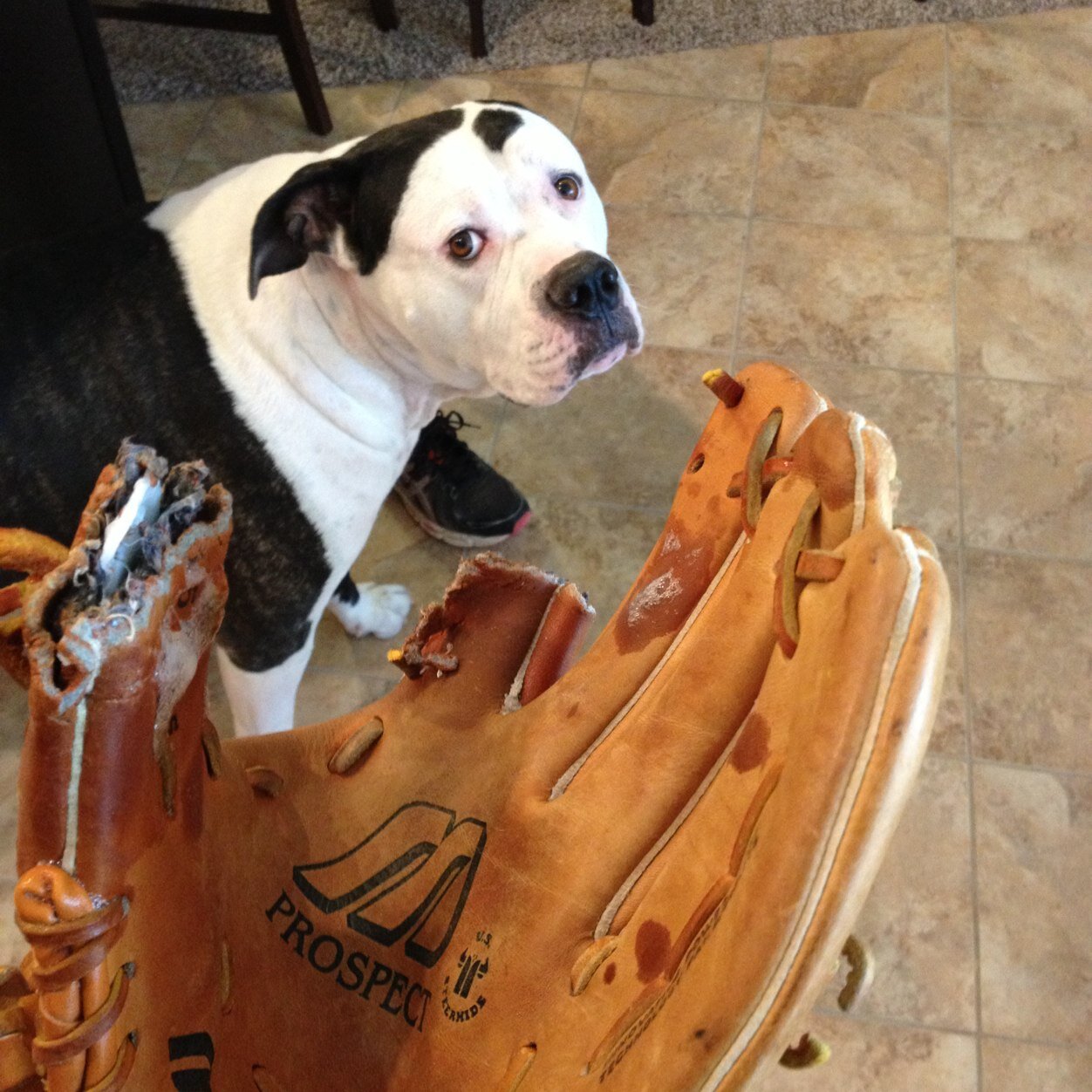 kenmmorris's profile picture. 