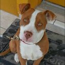 Veronica Bedolla - @vbedolla30 - Twitter