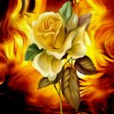 Miranda Walker - @Miranda48939258 - Twitter