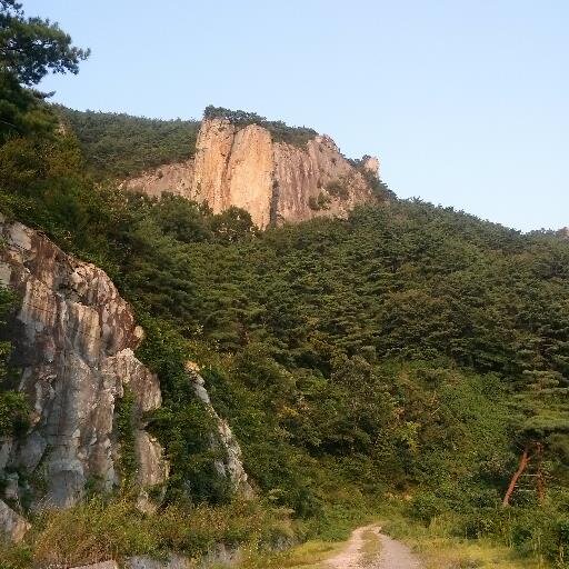 torrms's profile picture. 