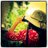 aditibarbhai's profile image