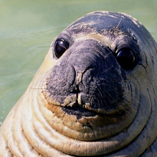 Sany ピンク パンサー 拾い物 Http T Co Epmdi5u5dv Youtubeさんから 番外編 たまに見てみたい系統のアニメ 待ち受けの着メロにしばらく使っていたのだったけど