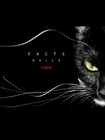 Contact person @factsballs