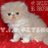 YIE_PETSHOP's profile image