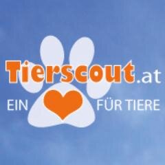 http://t.co/IGcz3NGZue
Tieranzeigen Portal
Ein Herz für Tiere