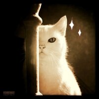 Crazy_nan ✿ นายหญิงวังฉิงฉือ 👉👈😳 (@crazy_nan) 's Twitter Profile