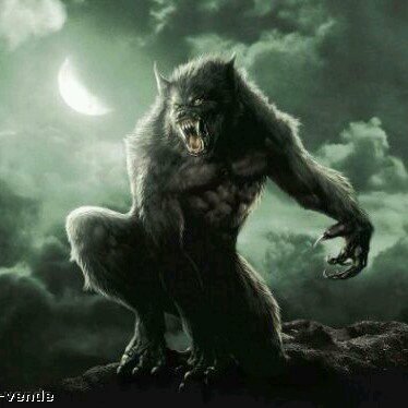 Mulitec's profile picture. 