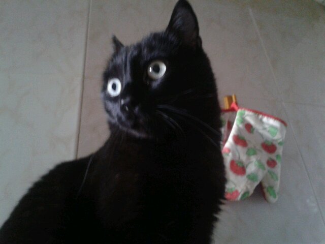 madd434's profile picture. soy española y madridista