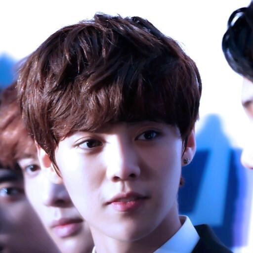 oh sehun's deer!