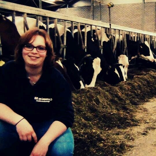 21 l♥♥♥ l student MAS Breda l melkveehouderij l PJ Putten l Case 1455 IH driver l trekkertrek l fotografie l horses l