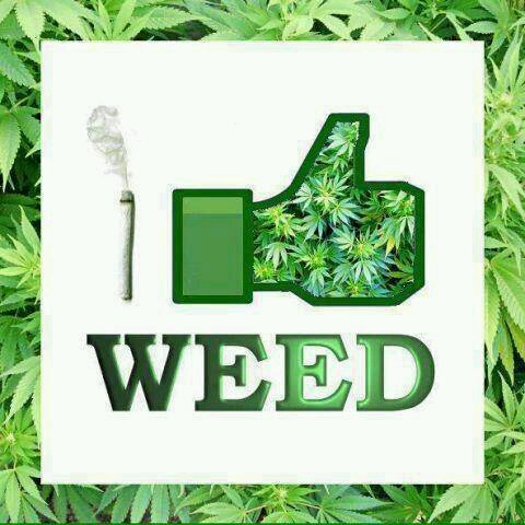 im a guy that loves big booty and weed