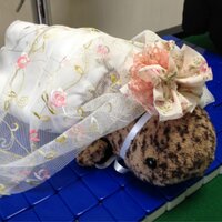 のん (@gu_and_san) 's Twitter Profile