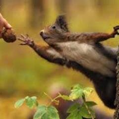 ClarkeAl's profile picture. You are who you chose to be.