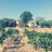 Hotel_Encanto's profile image