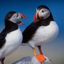 michael vu - @mchvu - Twitter