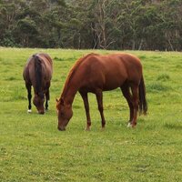 Tarcoolastud (@tarcoolastud) 's Twitter Profile