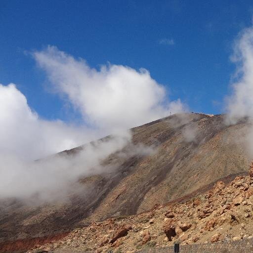 Buergerrechtler's profile picture. join life - it´s short enough