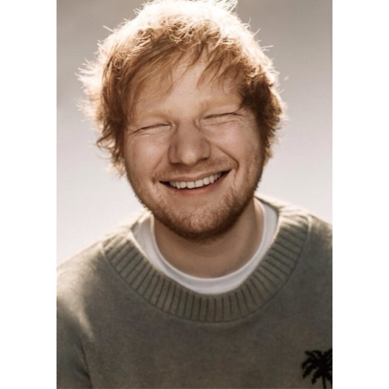 bacially an account i made for eds facial hair lmfao |@sassystu|