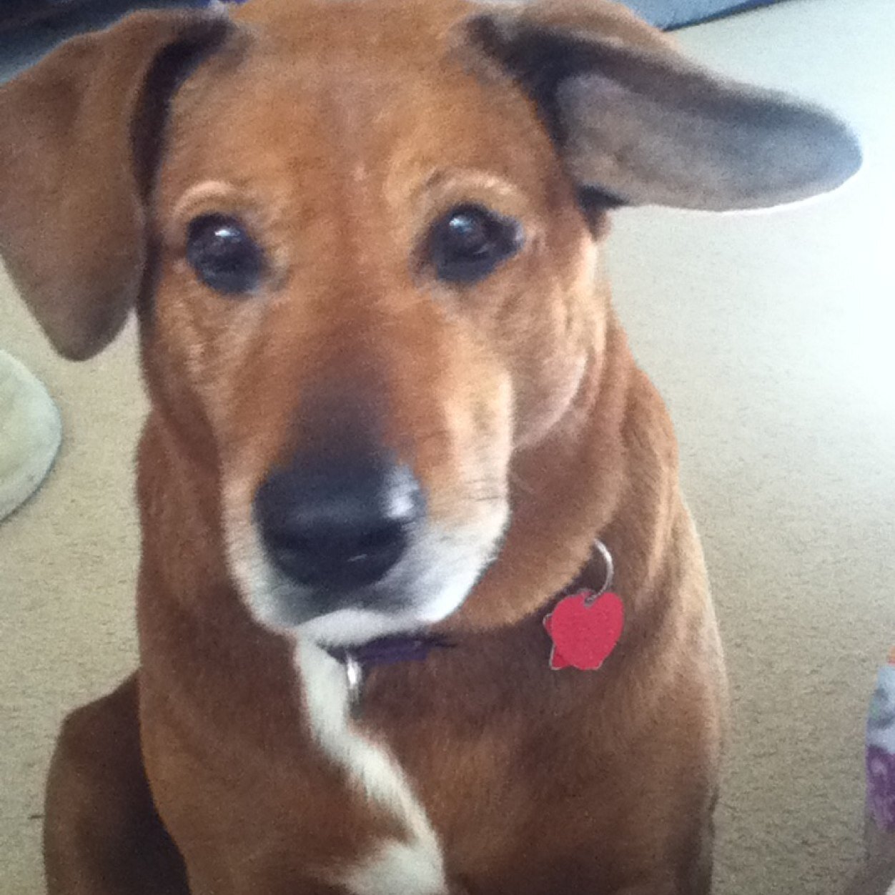 abbyrott's profile picture. retired at a very early age really enjoying it! !!!!!