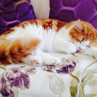 Clair (@bossonsclair) 's Twitter Profile Photo Clair (@bossonsclair) 's Twitter Profile Photo