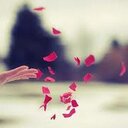 huynh anh quoc (@13dxd06) Twitter