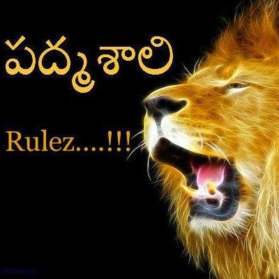 సింహానికి ఆకలెక్కువ . పద్మశాలి కి పవర్ ఎక్కువ