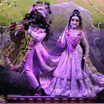 naveenvarshney2's profile picture. 