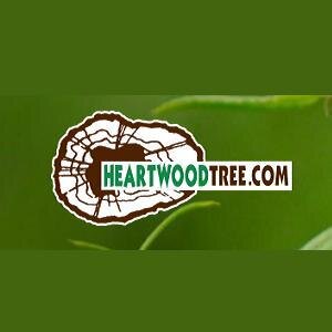 We are a group of tree lovers who are dedicated to the art of tree care. We specialize in tree preservation, pruning, tree removal, stump grinding.