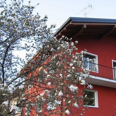 B&B in a village deep into the green,closed to Lake Orta. Homely hospitality far away from traffic, where you can relax in the shade of our big cherry tree.