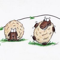 Maureen Hodges (@dancingsheep1) 's Twitter Profile